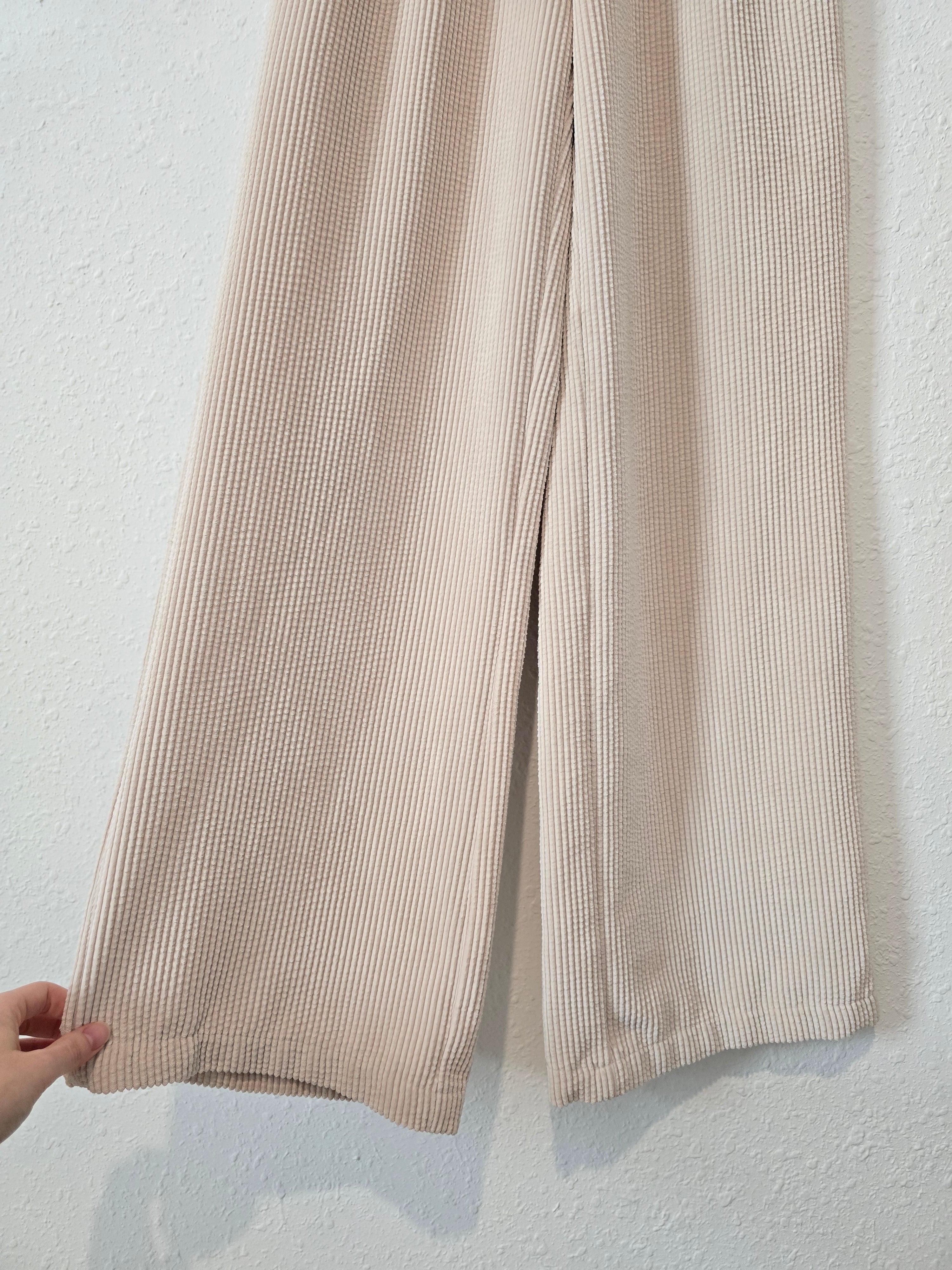BDG Wide Leg Cord Pants (XS)