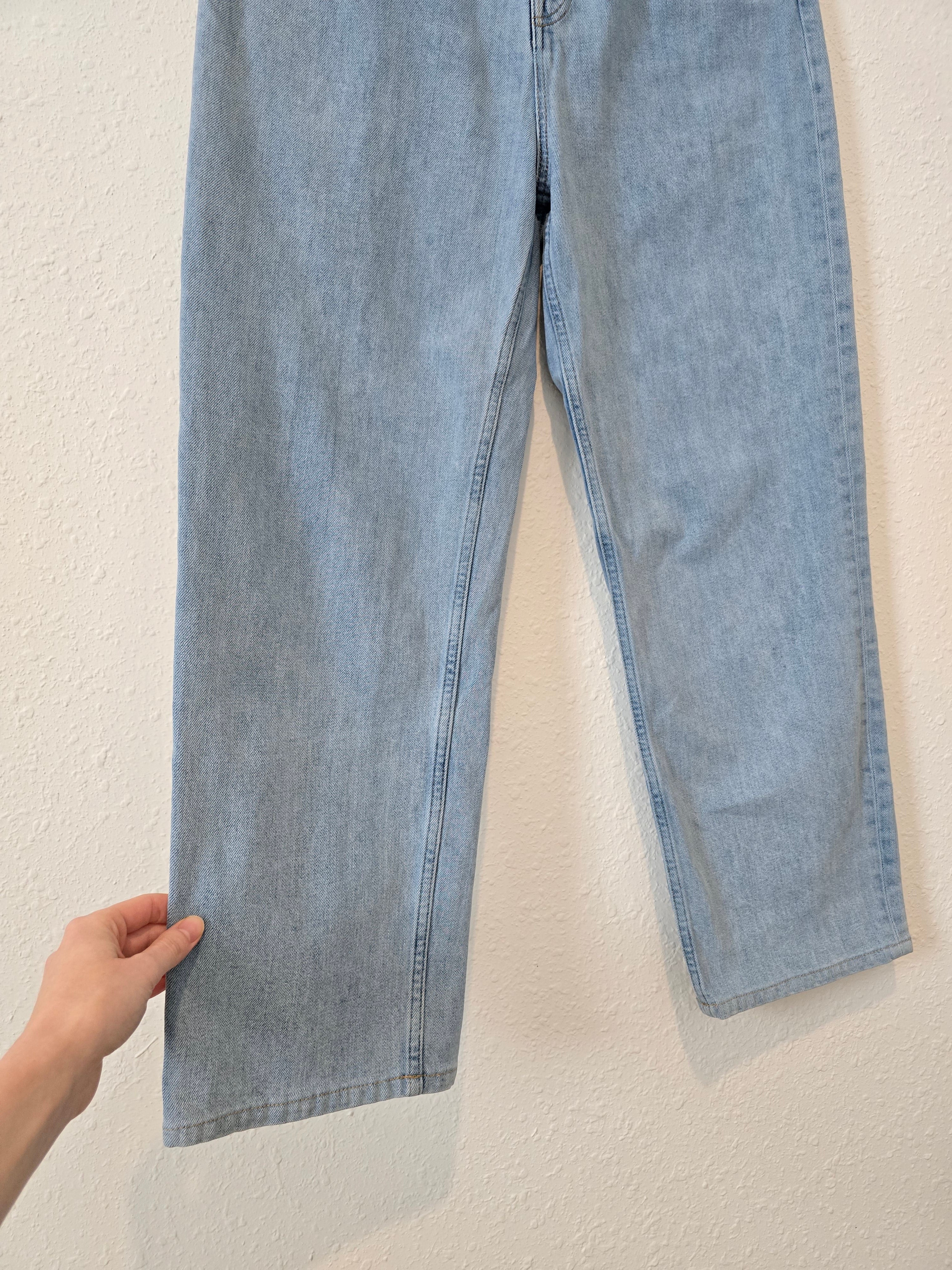 Everlane Light Wash Straight Jeans (31)