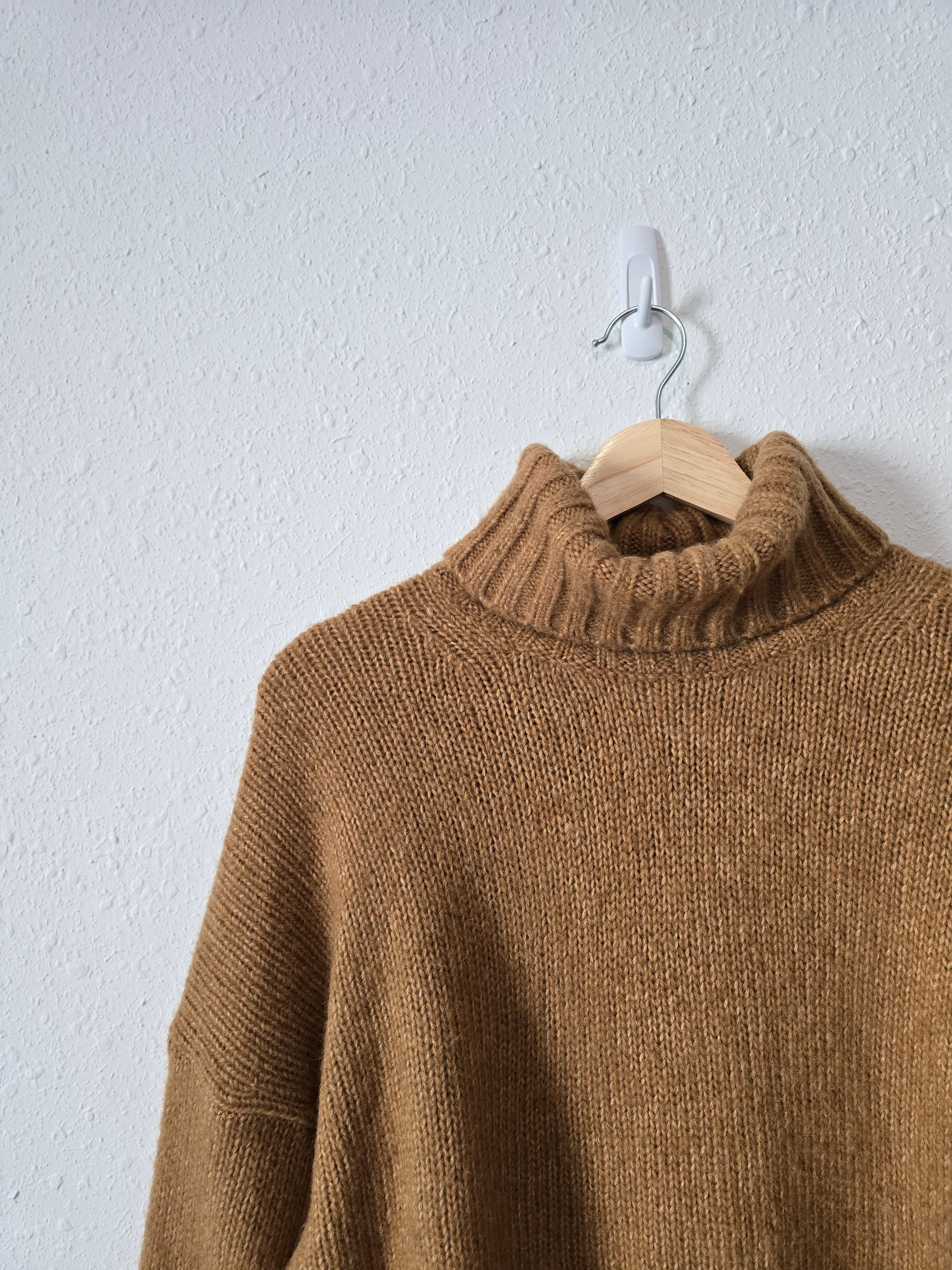 Everlane Wool Turtleneck Sweater (XL)
