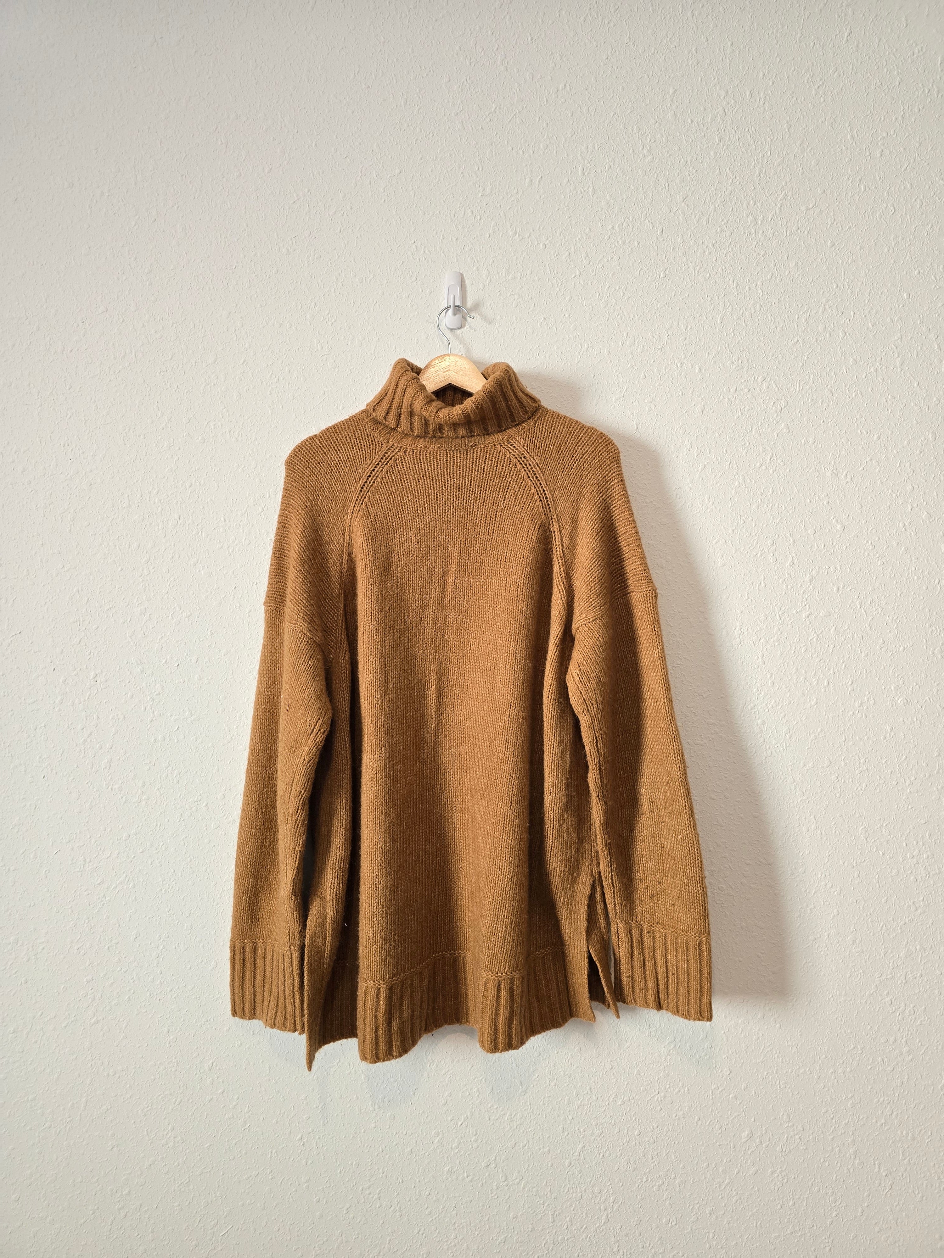 Everlane Wool Turtleneck Sweater (XL)