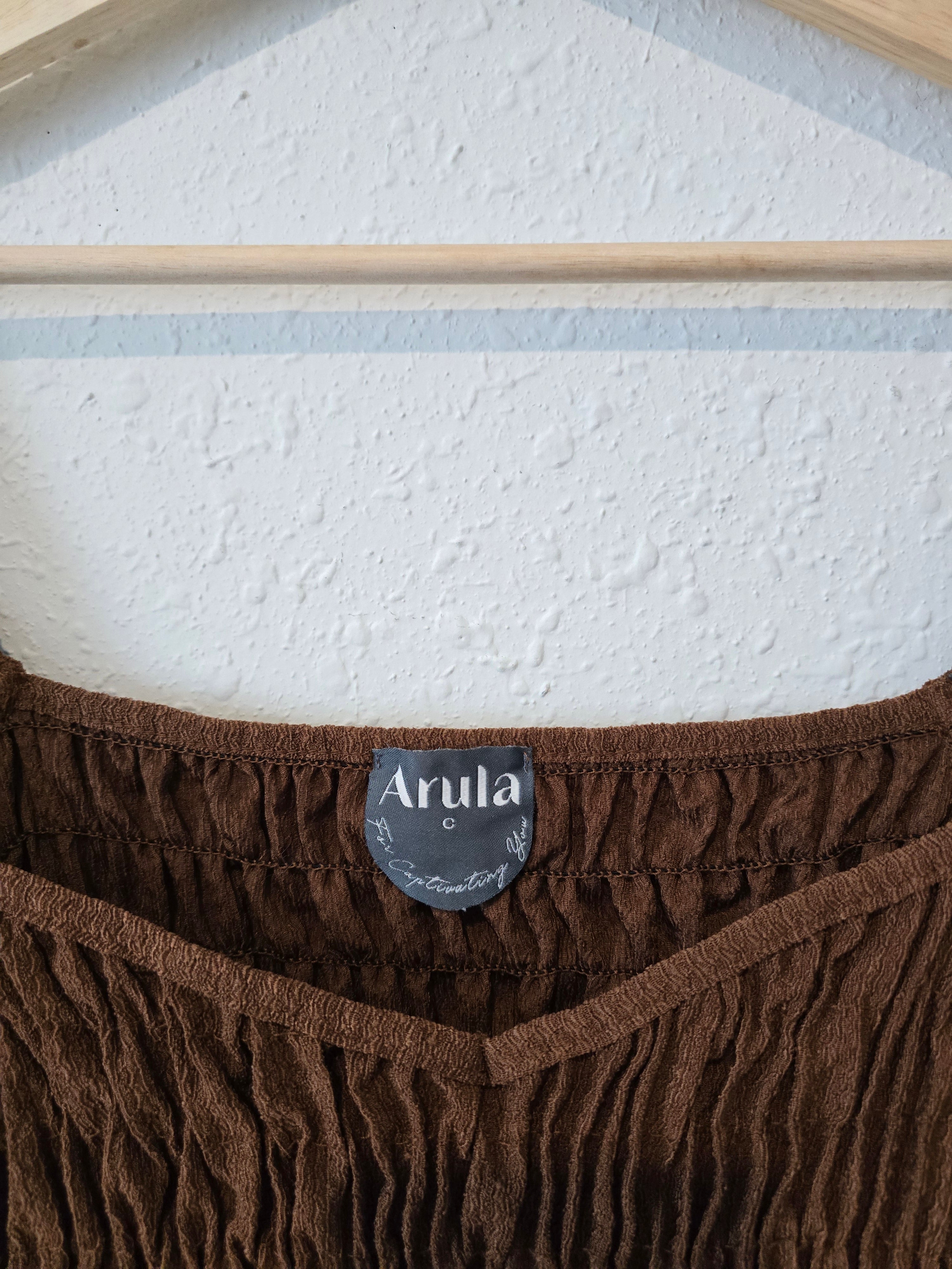 Arula Brown Smocked Top (3X)