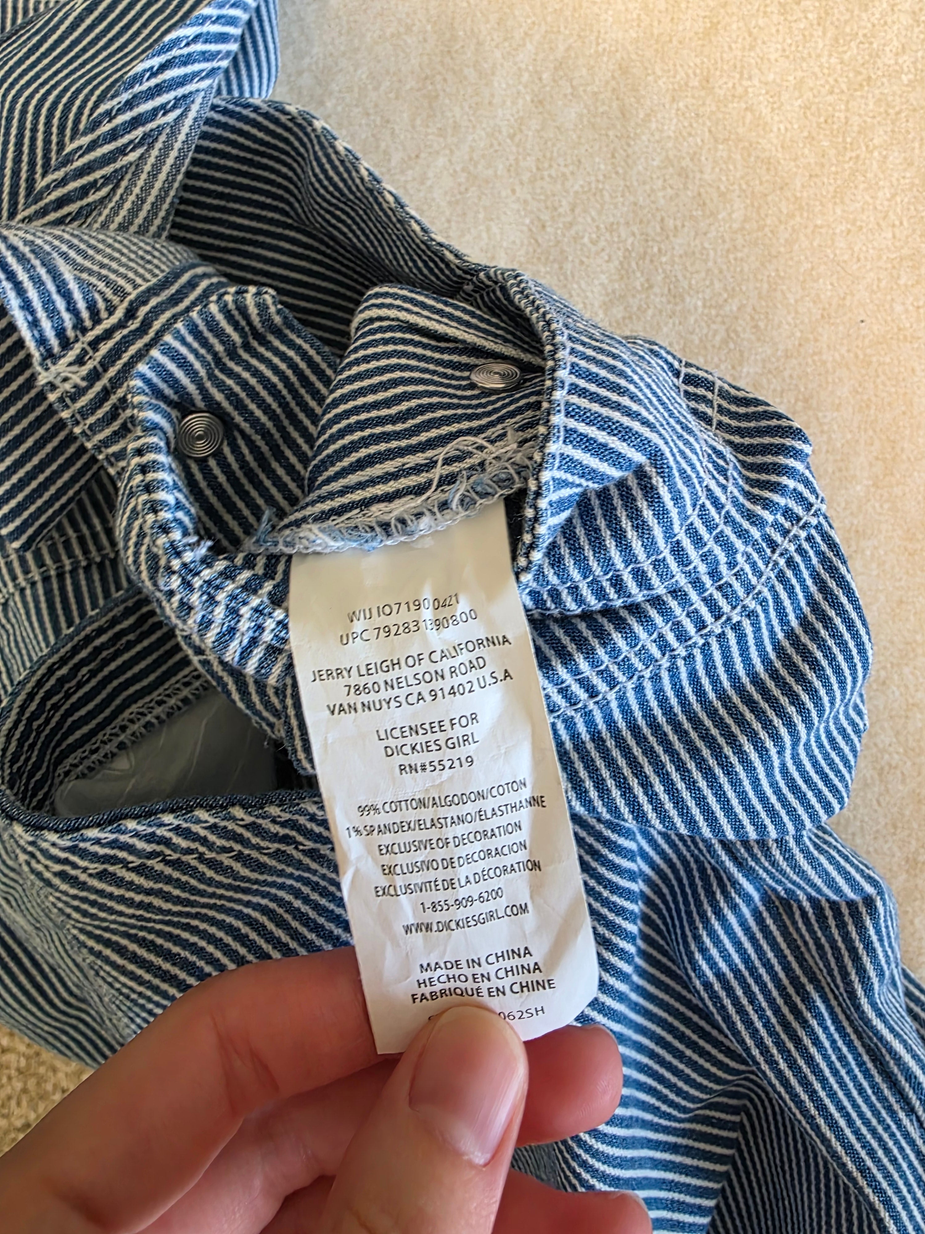 Dickies Relaxed Striped Shortalls (1X)