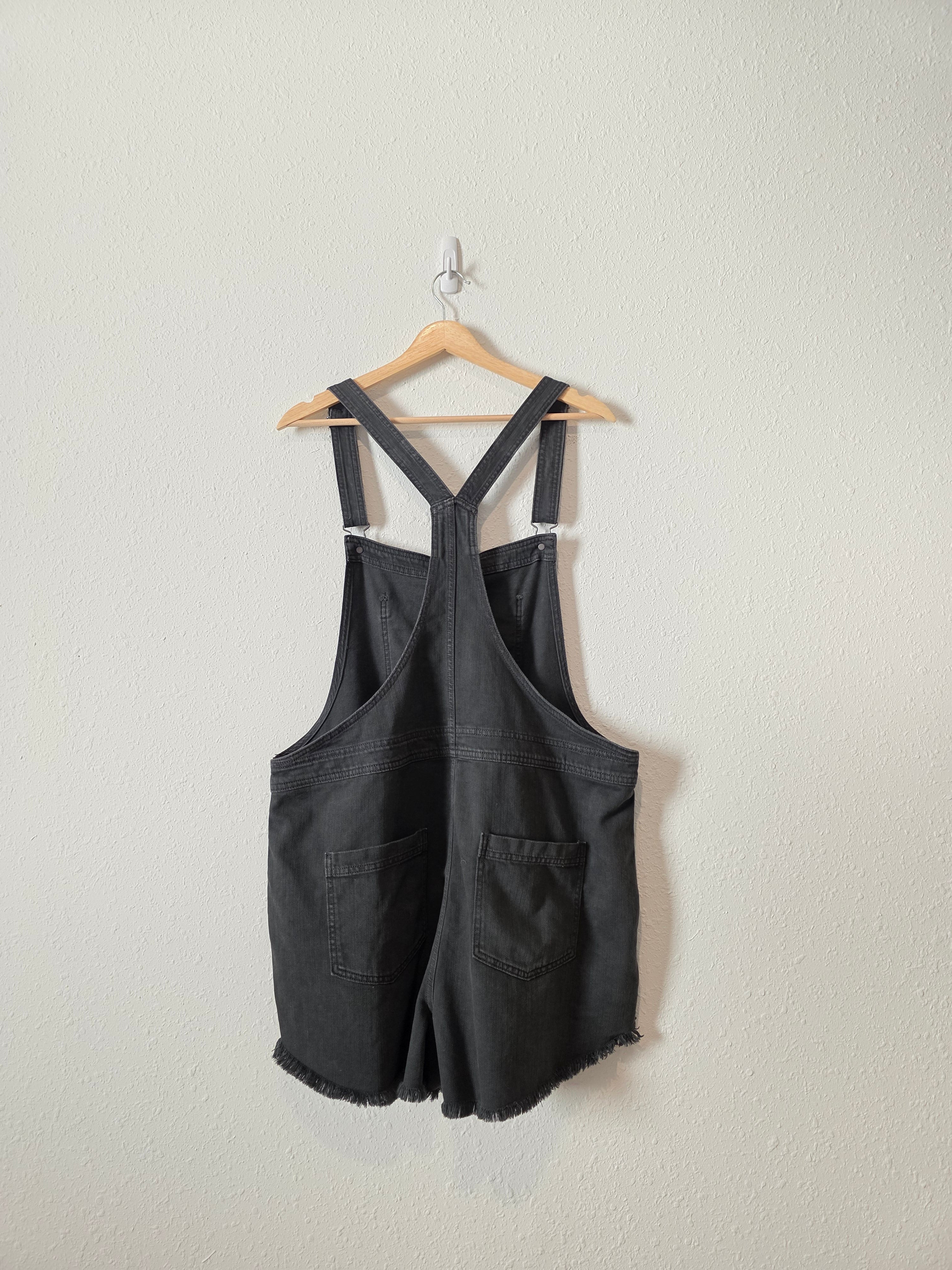 Aerie Relaxed Denim Overalls (XL)