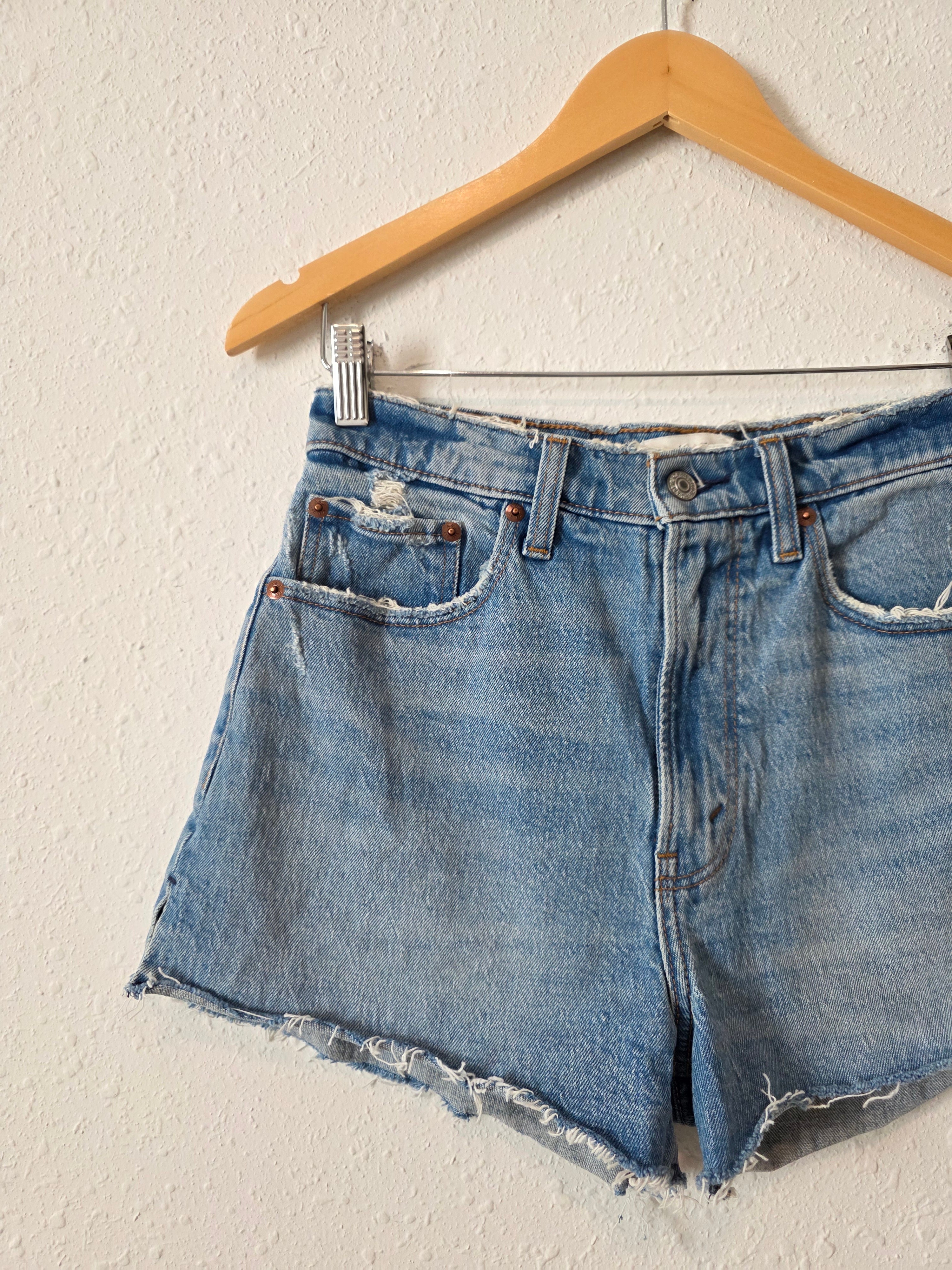 Abercrombie Denim Mom Shorts (27/4)