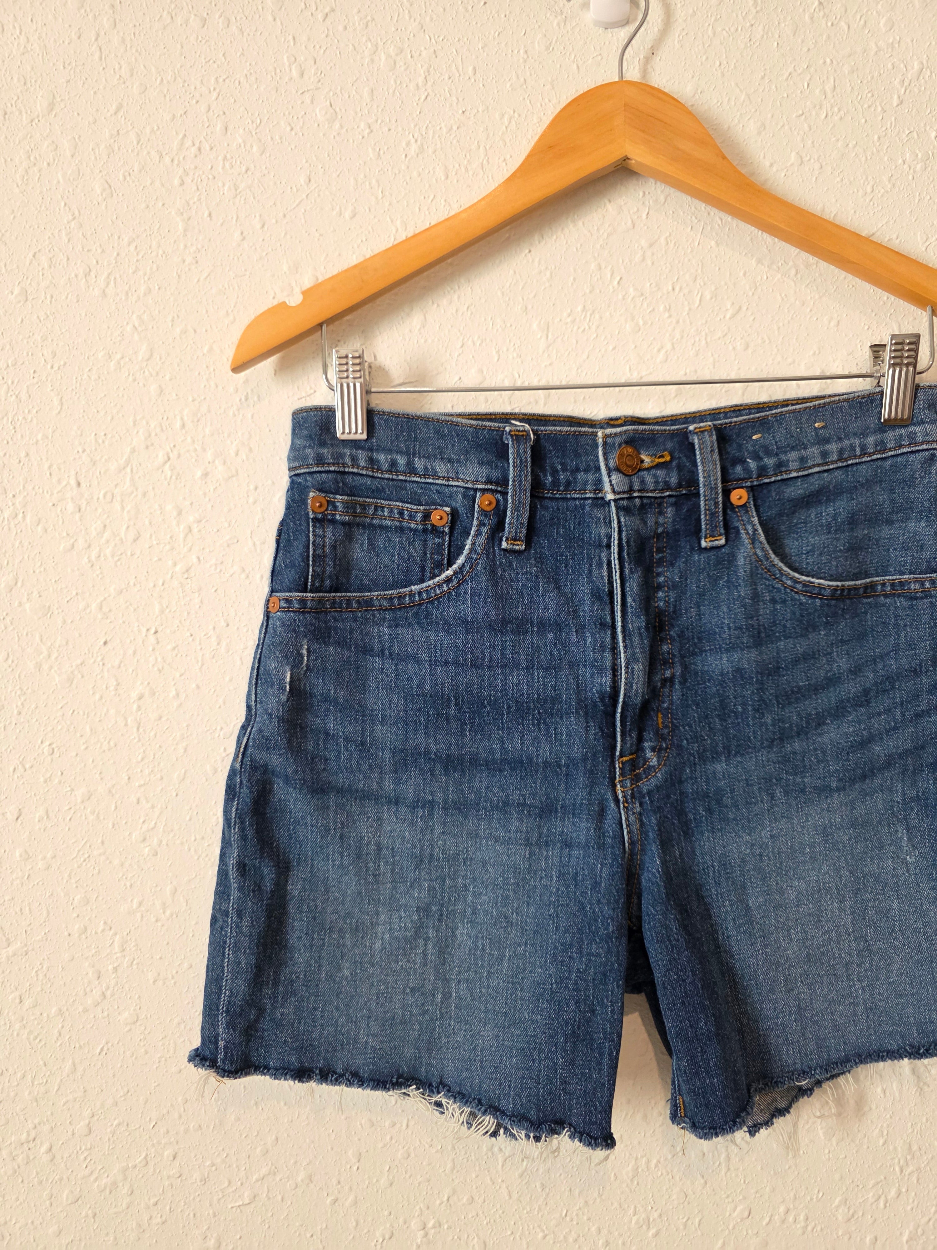 Madewell High Rise Denim Shorts (27)