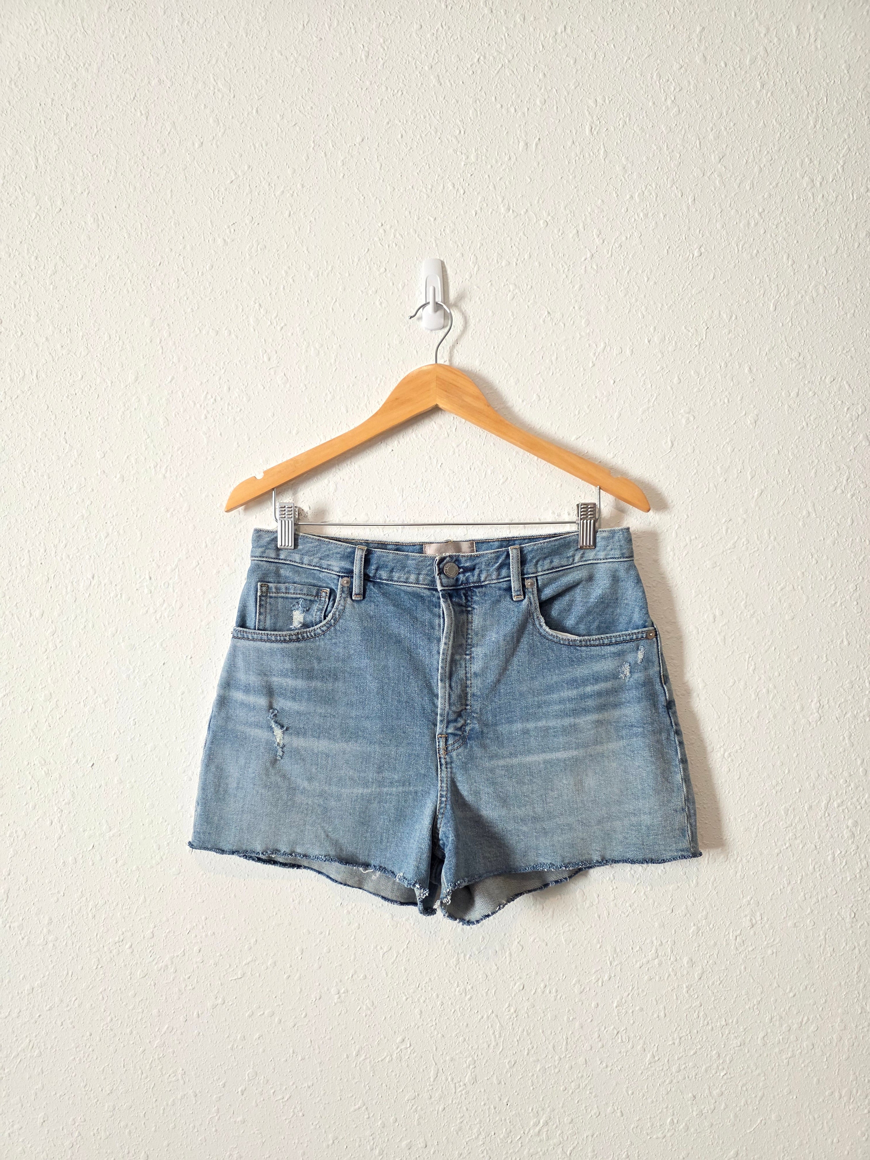 Everlane Cheeky Denim Short (29)