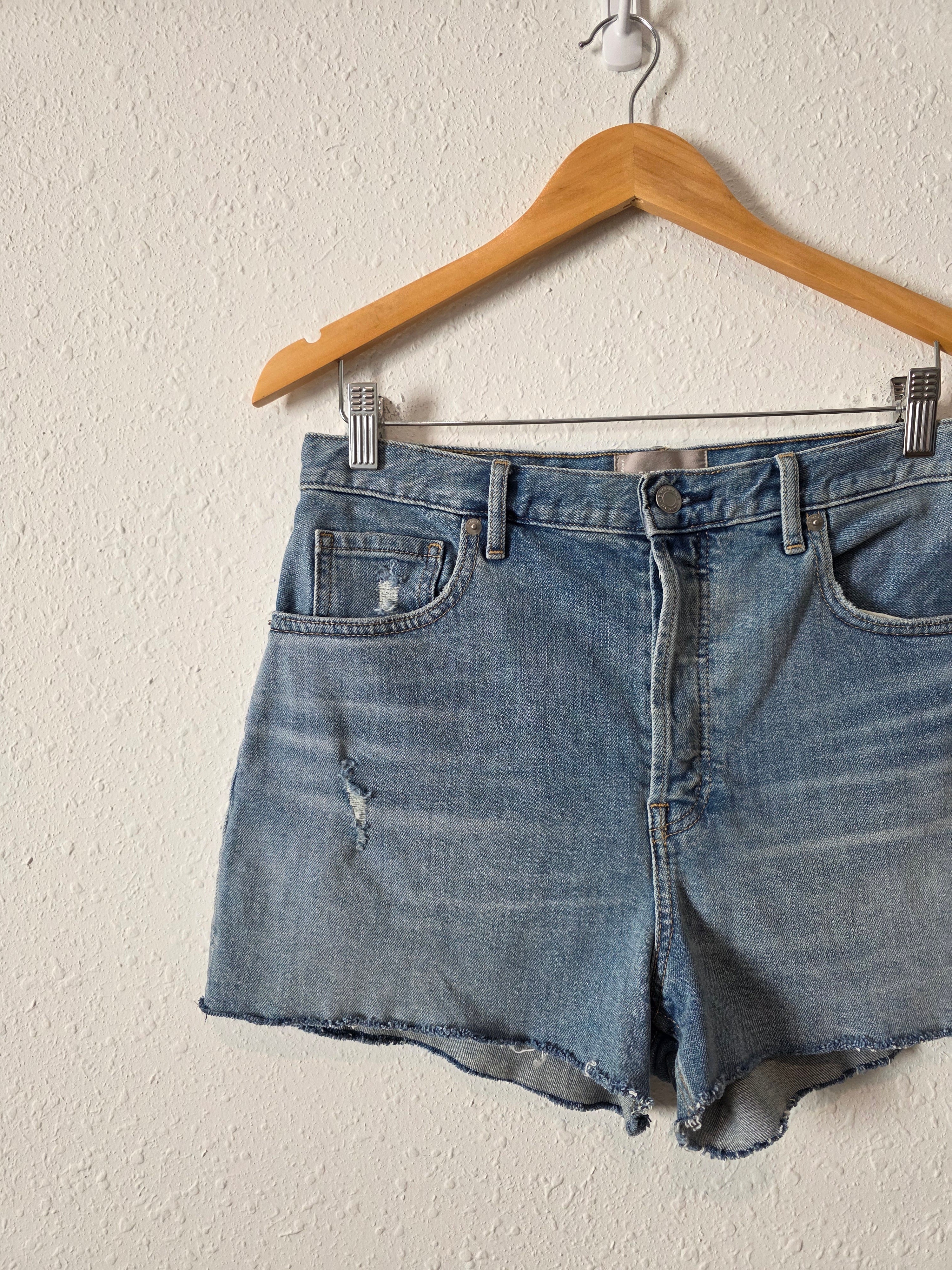 Everlane Cheeky Denim Short (29)