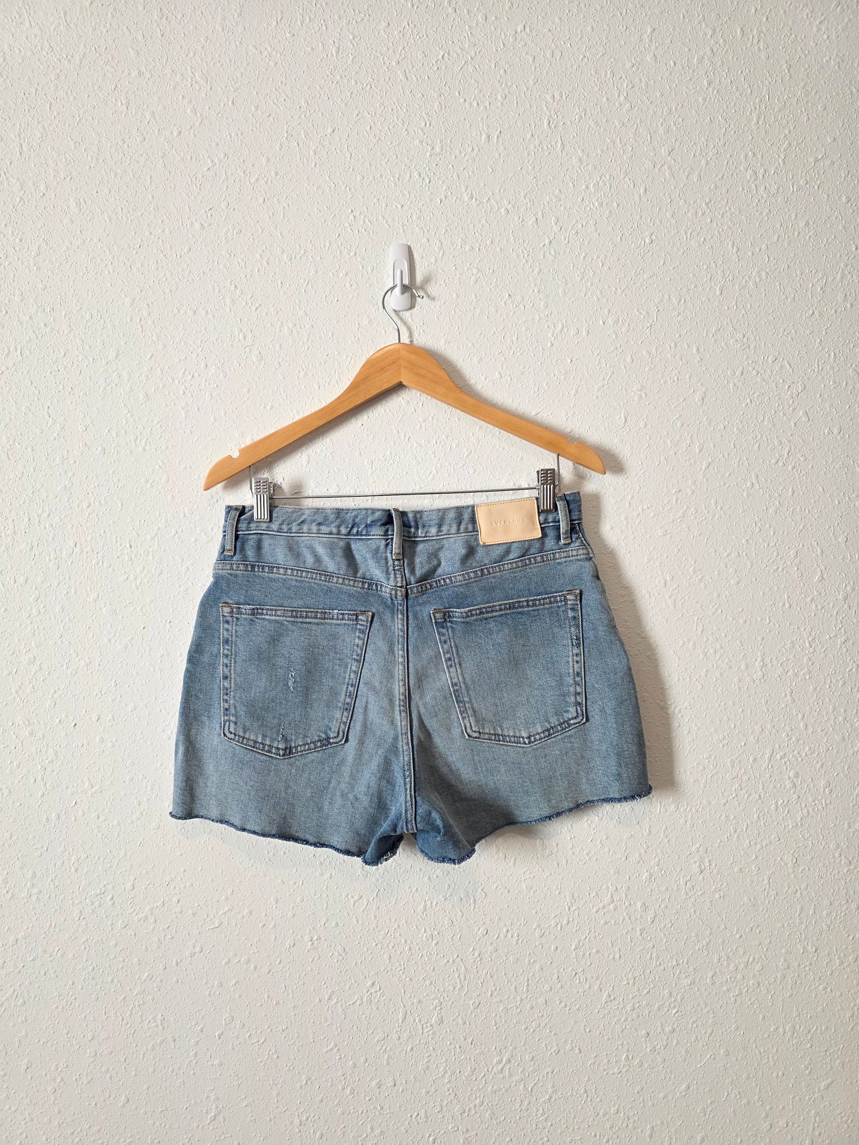 Everlane Cheeky Denim Short (29)