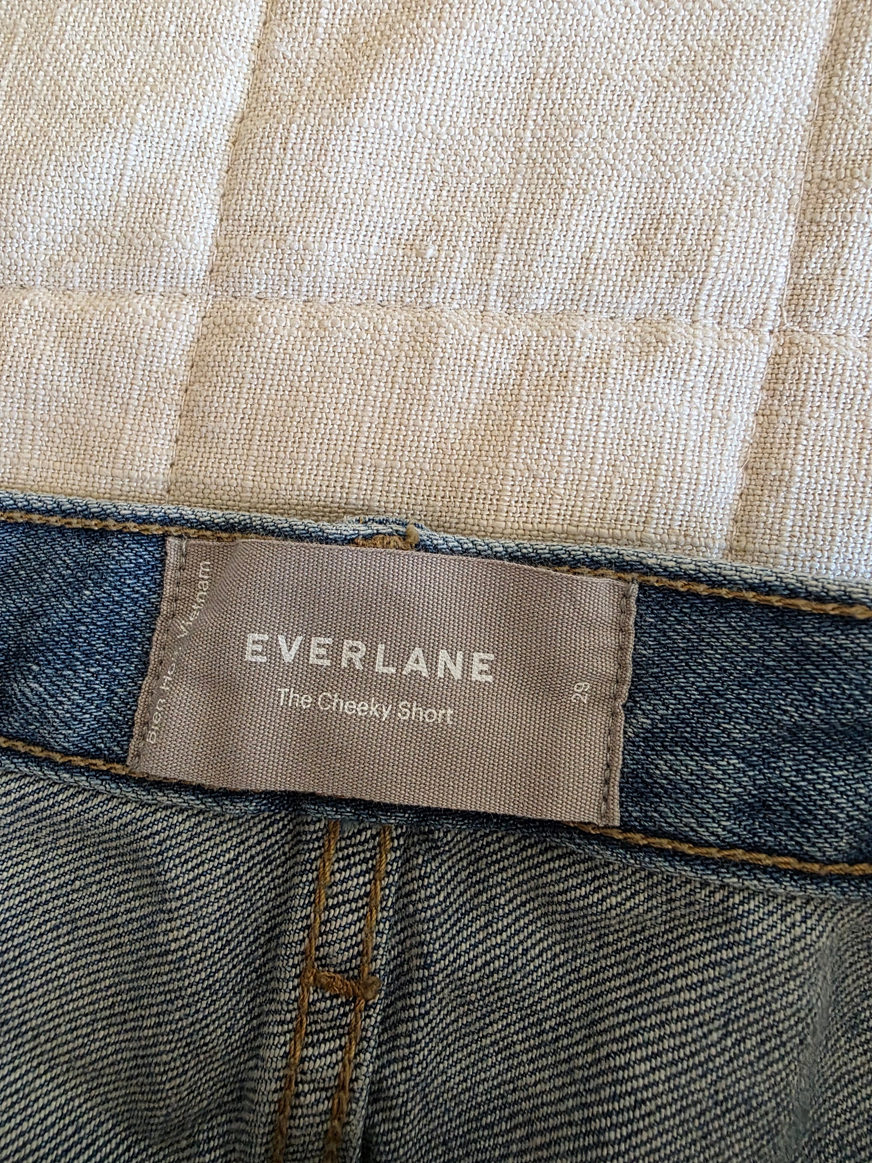 Everlane Cheeky Denim Short (29)