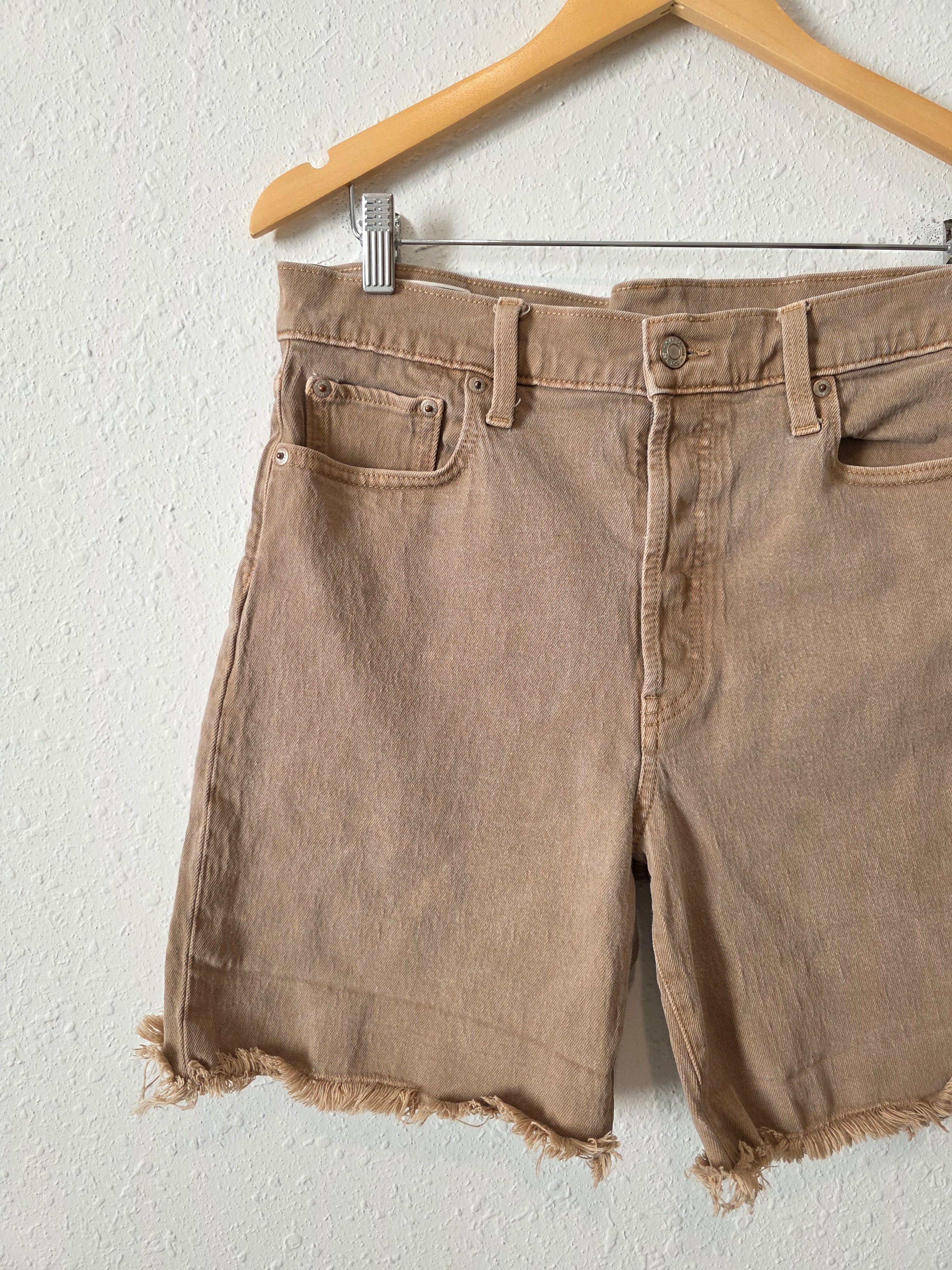 Gap Brown Midi Shorts (10/30)