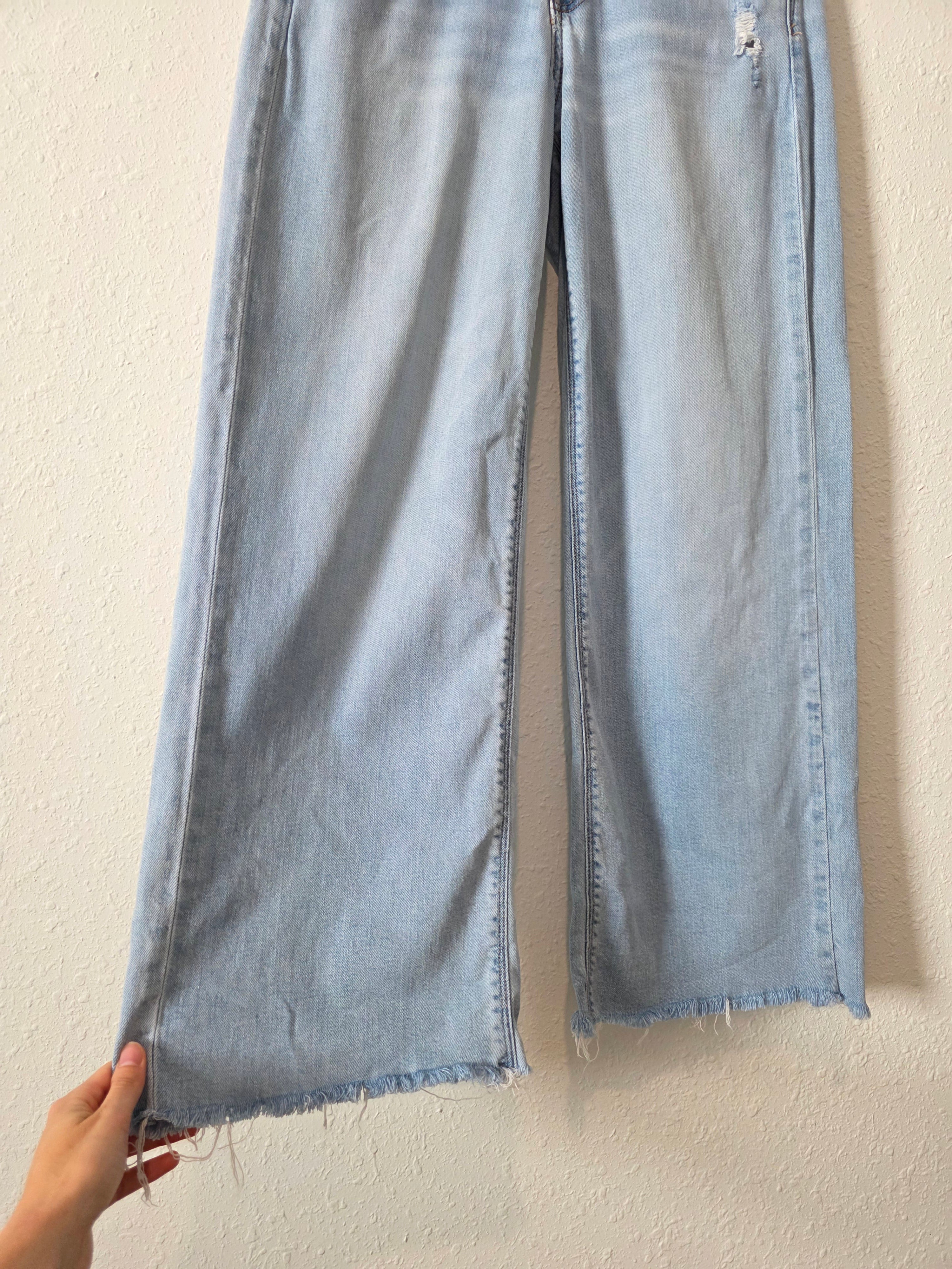 Light Wash Baggy Wide Leg Jeans (2s)