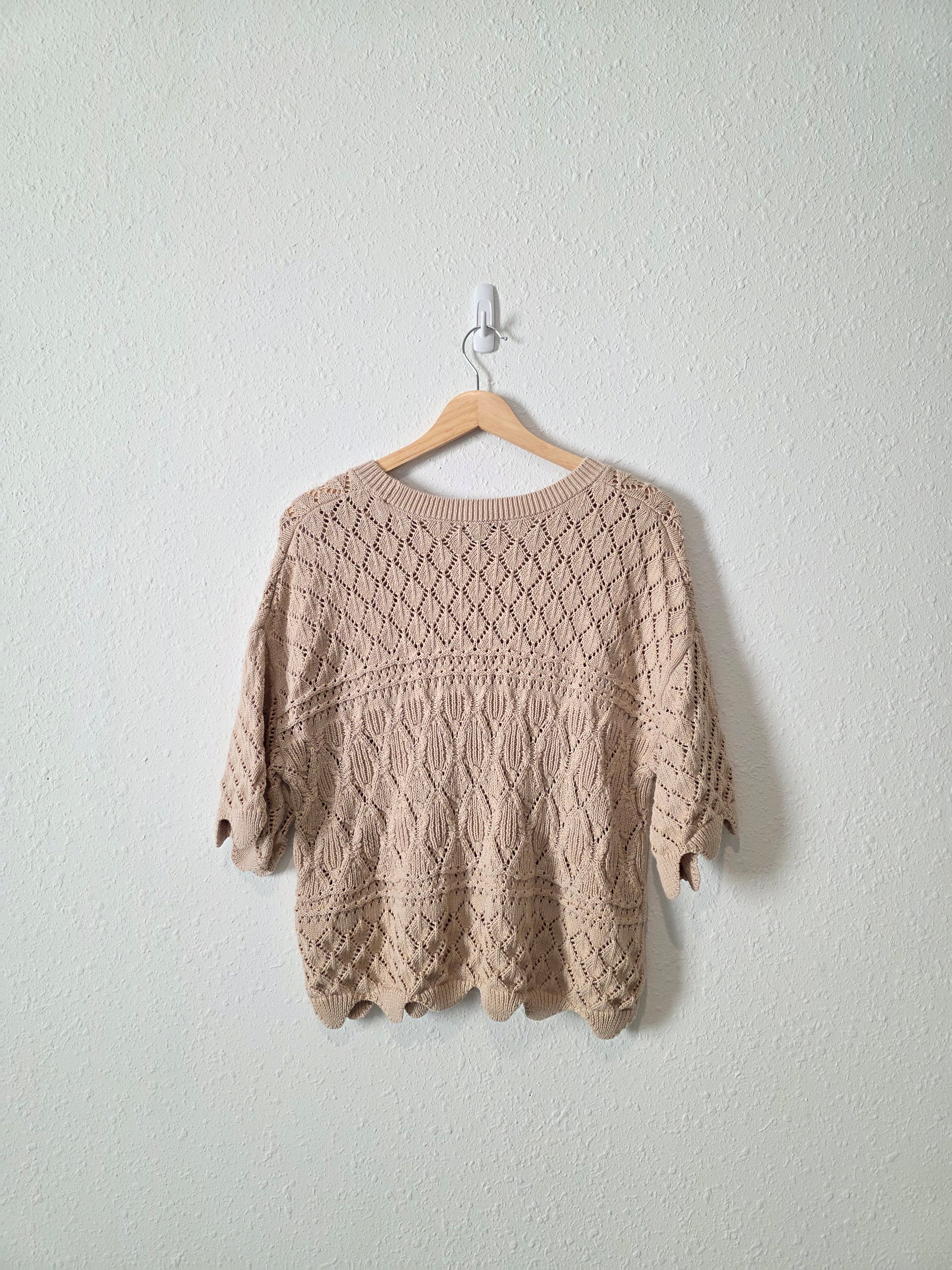 Splendid Textured Knit Sweater (L)