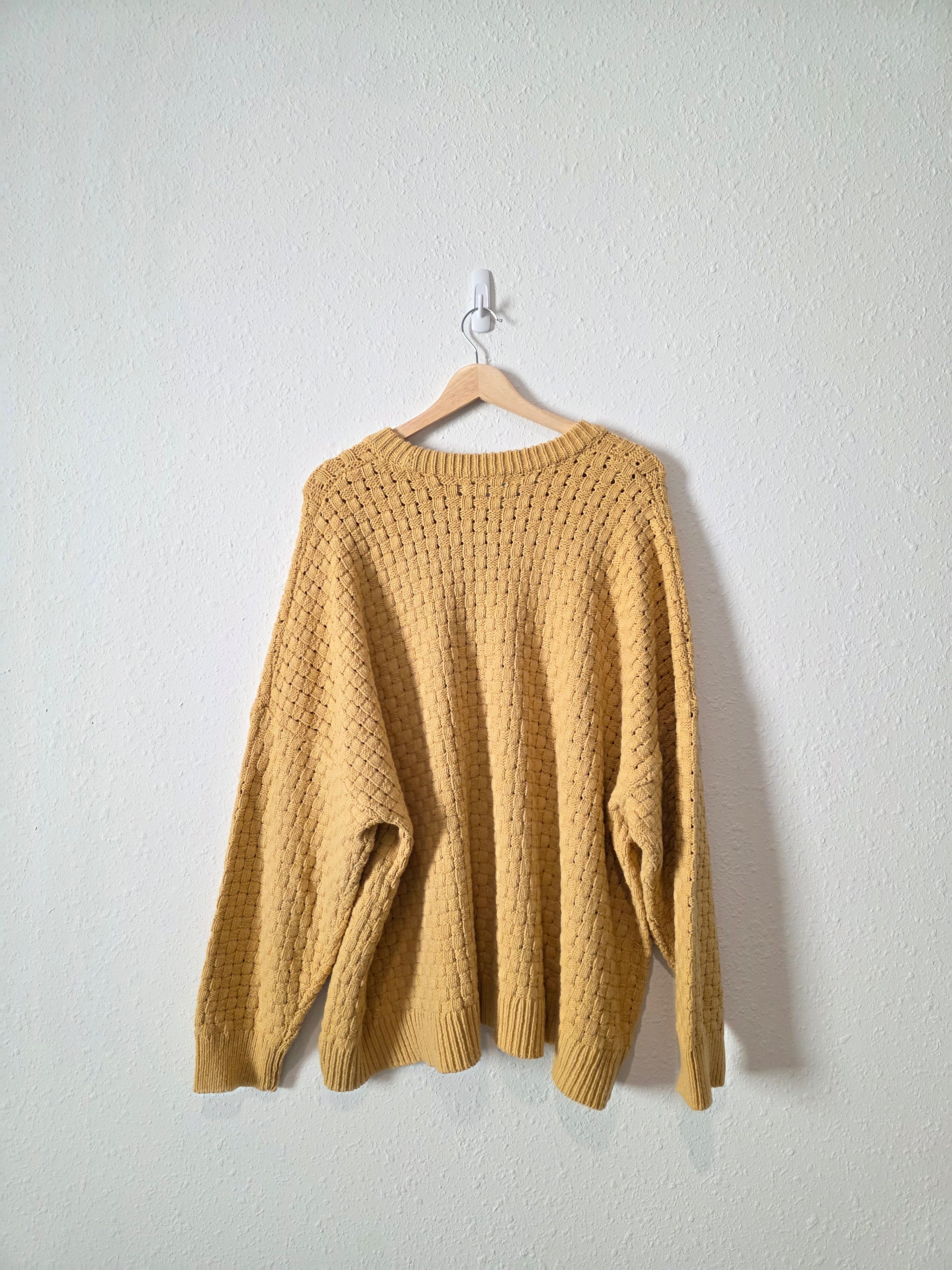 Madewell Chunky Textured Sweater (3X)
