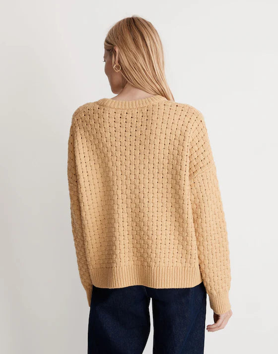 Madewell Chunky Textured Sweater (3X)