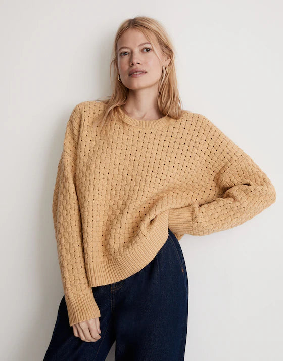 Madewell Chunky Textured Sweater (3X)