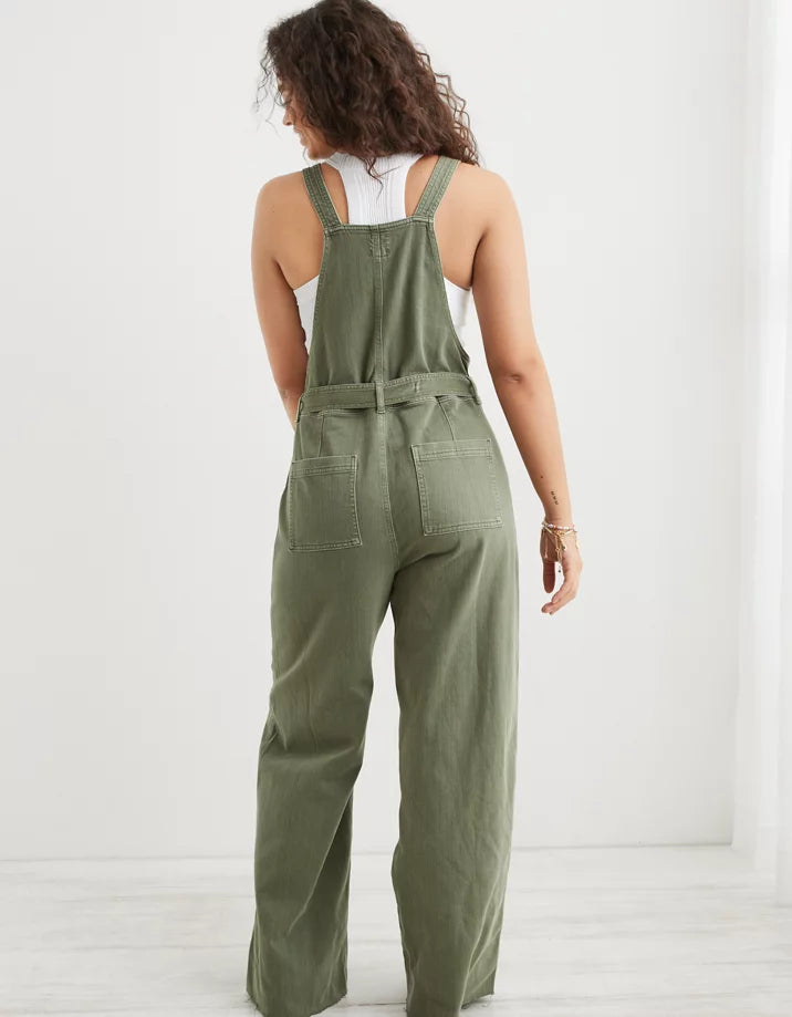 Aerie Wide Leg Overalls (M)