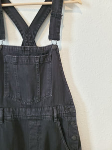 Free People Wide Leg Overalls (M)