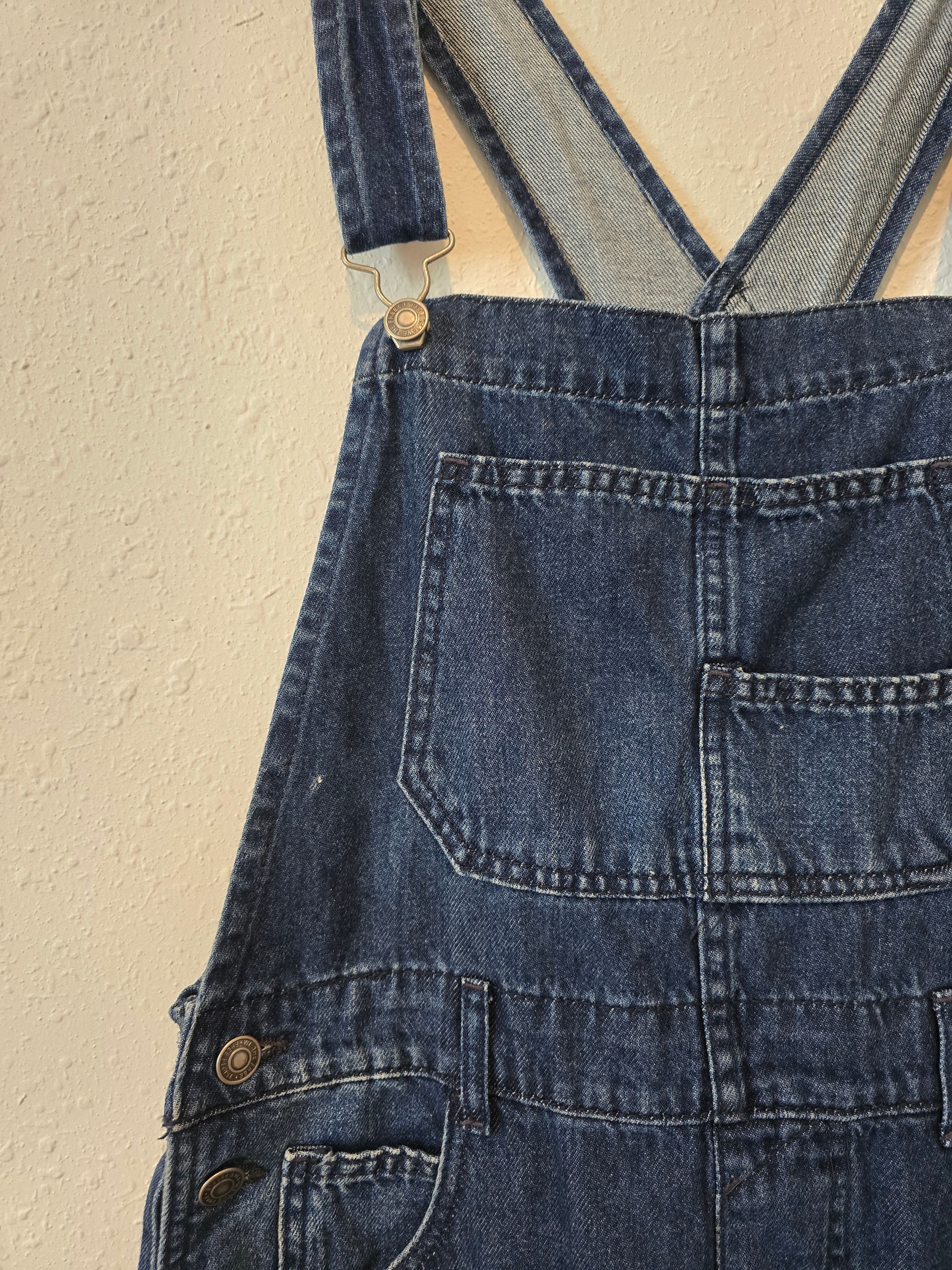 Free People Ziggy Denim Overalls (S)