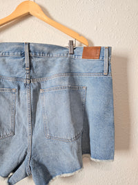 NEW J.Crew Relaxed Denim Shorts (37)