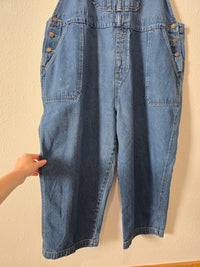 Vintage Denim Overalls (22W)