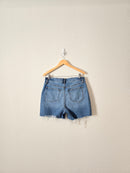 Loft High Rise Denim Shorts (10/30)