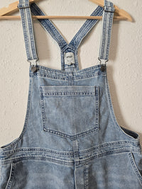 Aerie Denim Shortalls (L)