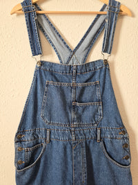 Free People Ziggy Denim Overalls (L)