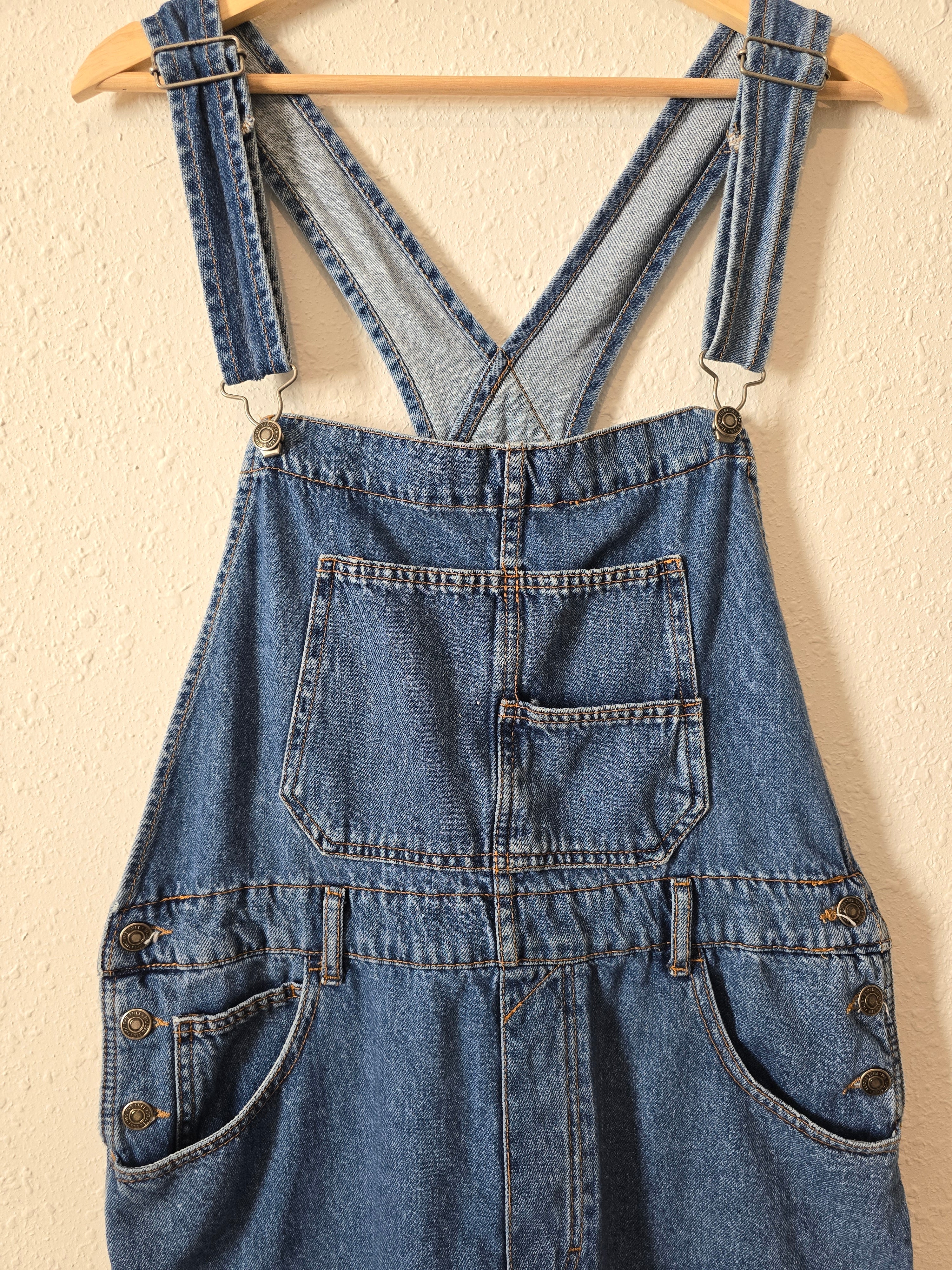 Free People Ziggy Denim Overalls (L)