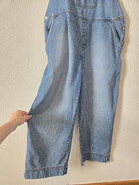 Vintage Denim Overalls (L)