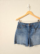 Madewell High Rise Denim Shorts (27)