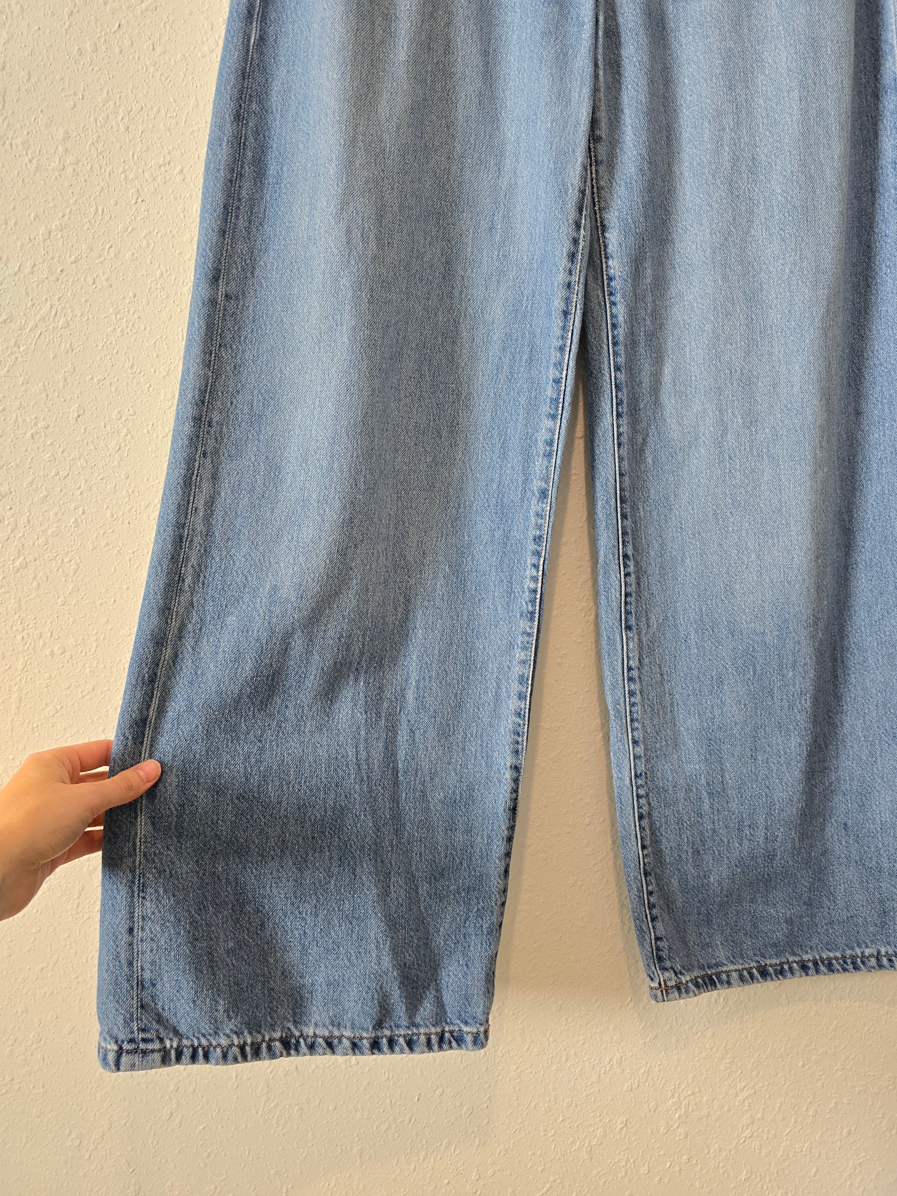 Banana Republic Wide Leg Jeans (31/12)