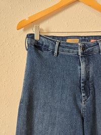 Anthropologie Wide Leg Jeans (29P)