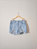 Levi's Light Wash Denim Shorts (18W)