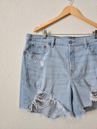 Levi's Light Wash Denim Shorts (18W)