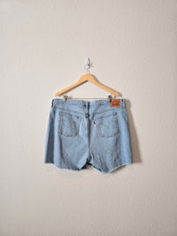 Levi's Light Wash Denim Shorts (18W)