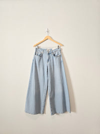 NEW Light Wash Wide Leg Jeans (27)