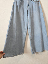 NEW Light Wash Wide Leg Jeans (27)