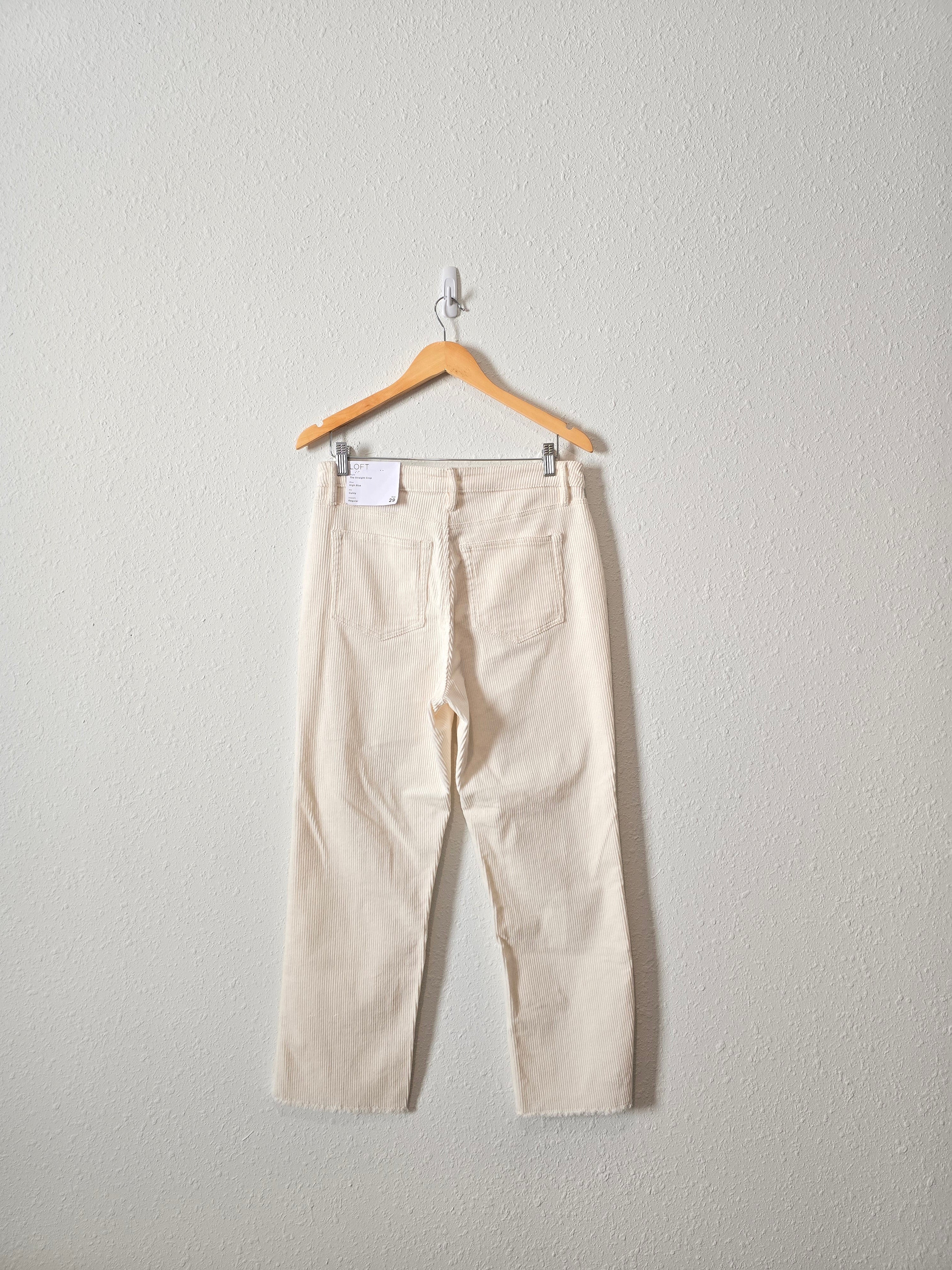 NEW Loft Cord Straight Pants (29/8)