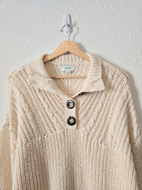 Aerie Chunky Henley Sweater (L)