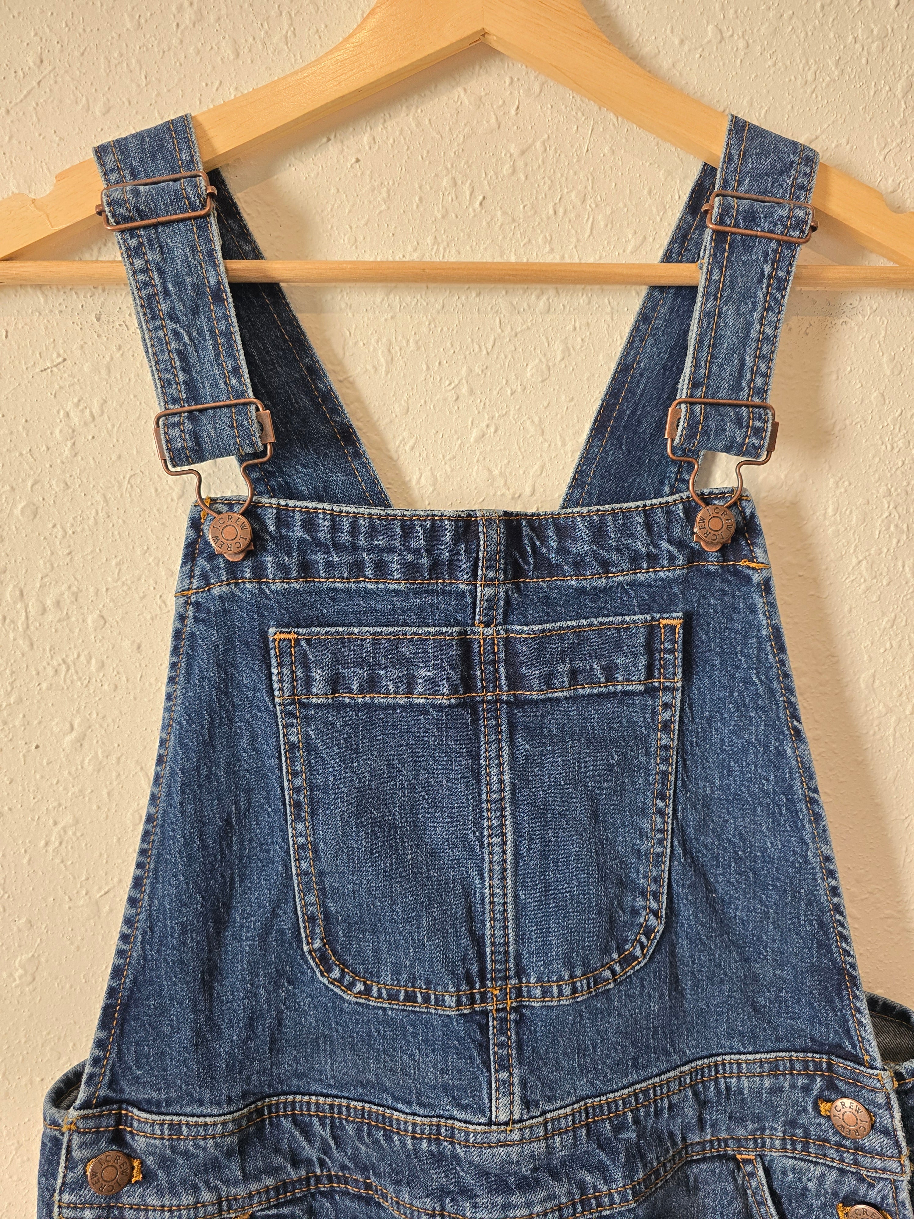 J.Crew Straight Denim Overalls (M)