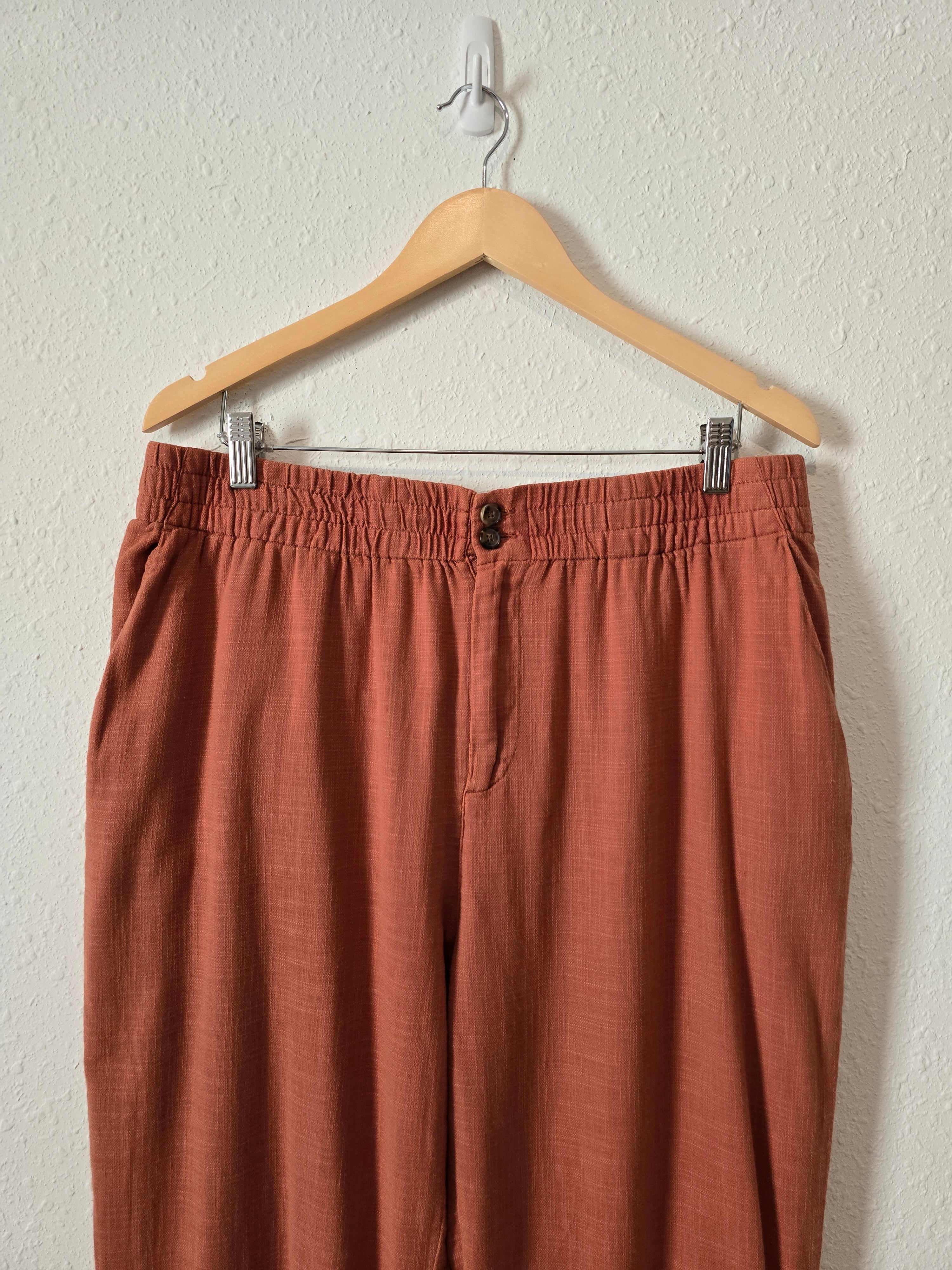 Marine Layer Terracotta Straight Pants (XL)