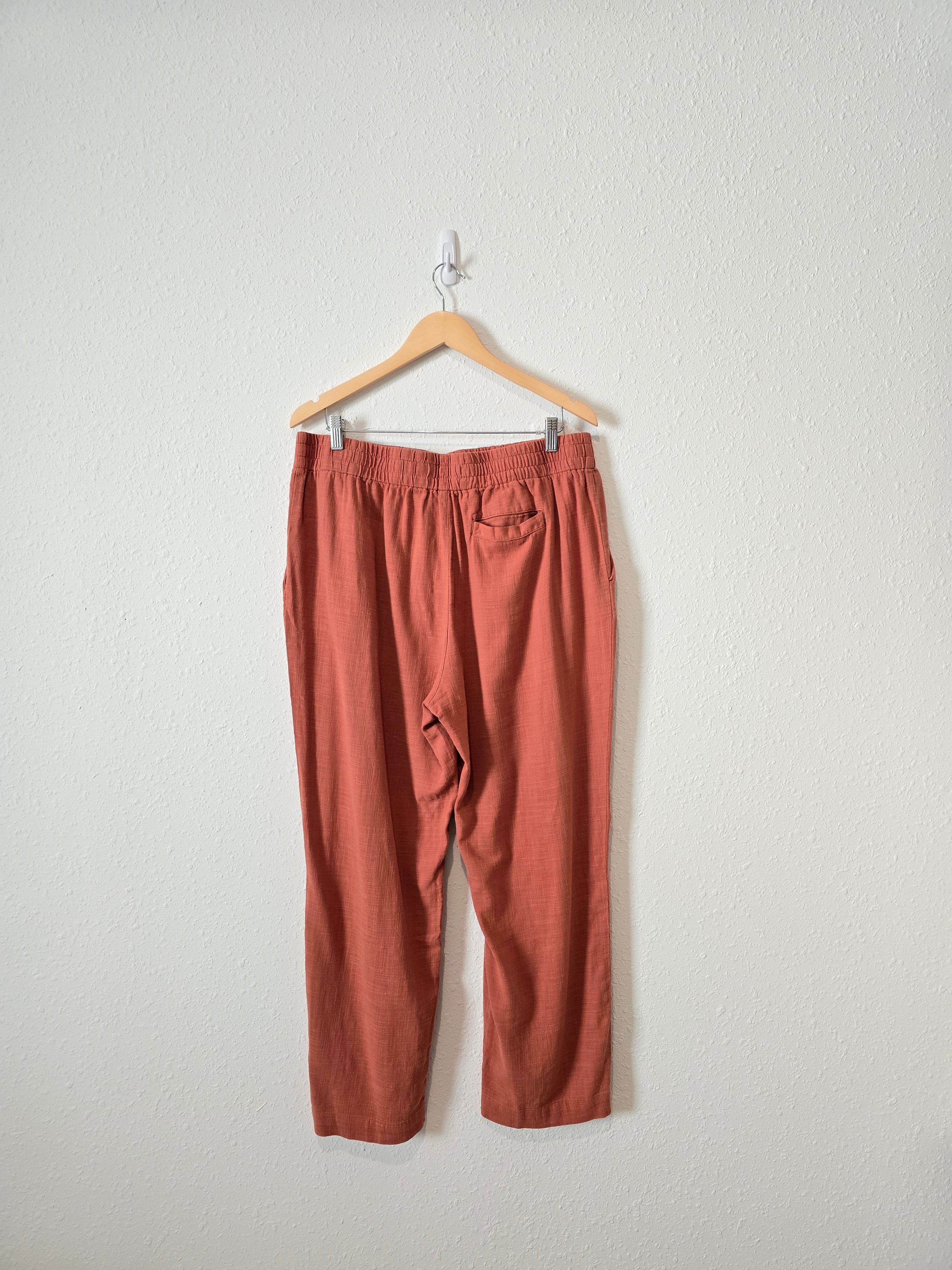 Marine Layer Terracotta Straight Pants (XL)