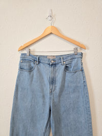 Everlane Light Wash Straight Jeans (31)