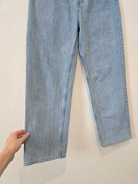 Everlane Light Wash Straight Jeans (31)