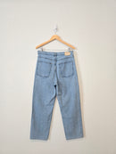 Everlane Light Wash Straight Jeans (31)