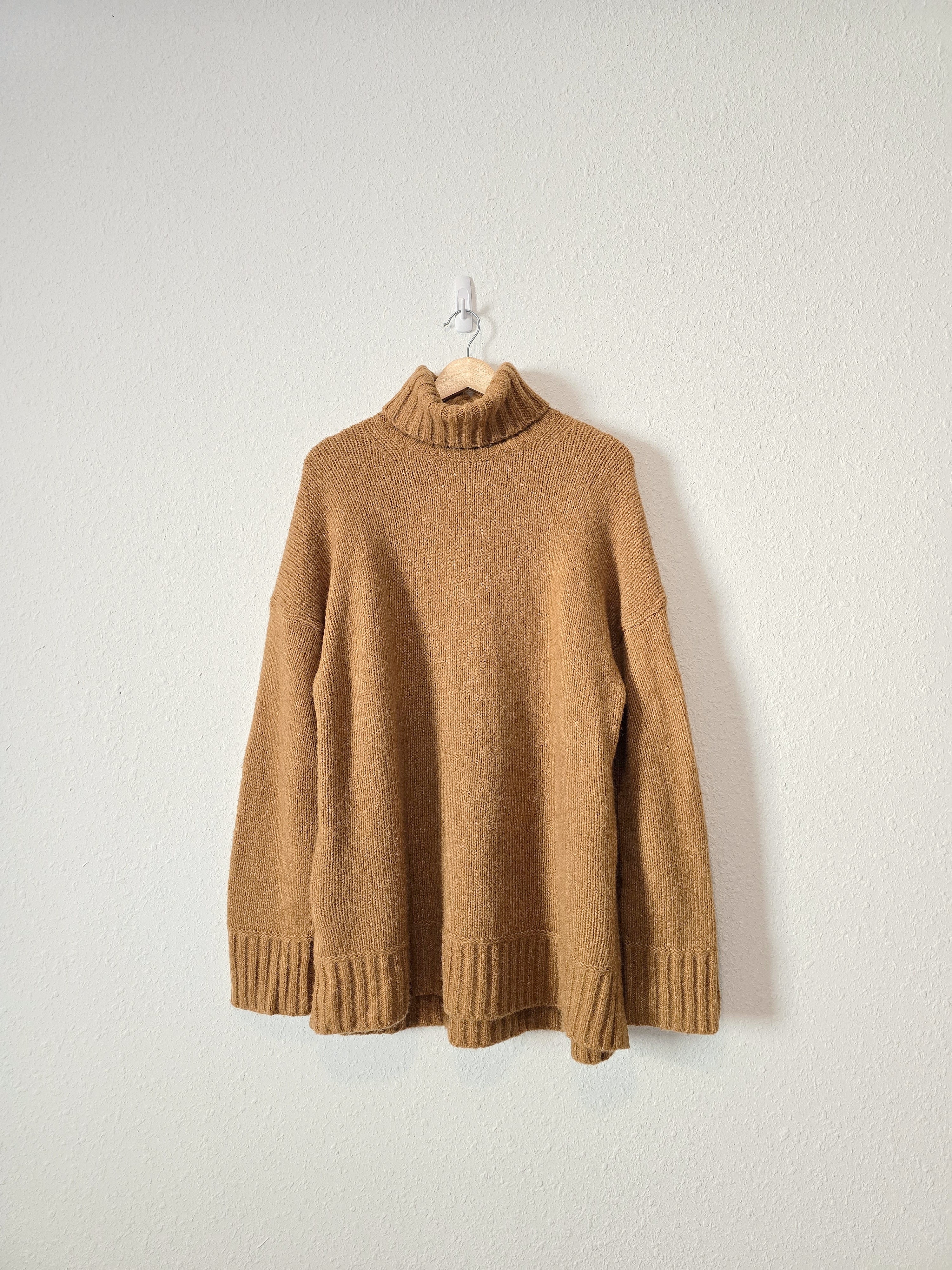 Everlane Wool Turtleneck Sweater (XL)