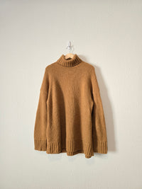 Everlane Wool Turtleneck Sweater (XL)