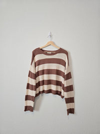 Z Supply Brown Striped Sweater (L)