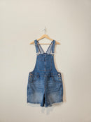 J.Crew Denim Shortalls (L)