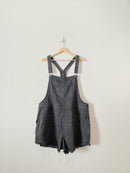 Aerie Relaxed Denim Overalls (XL)